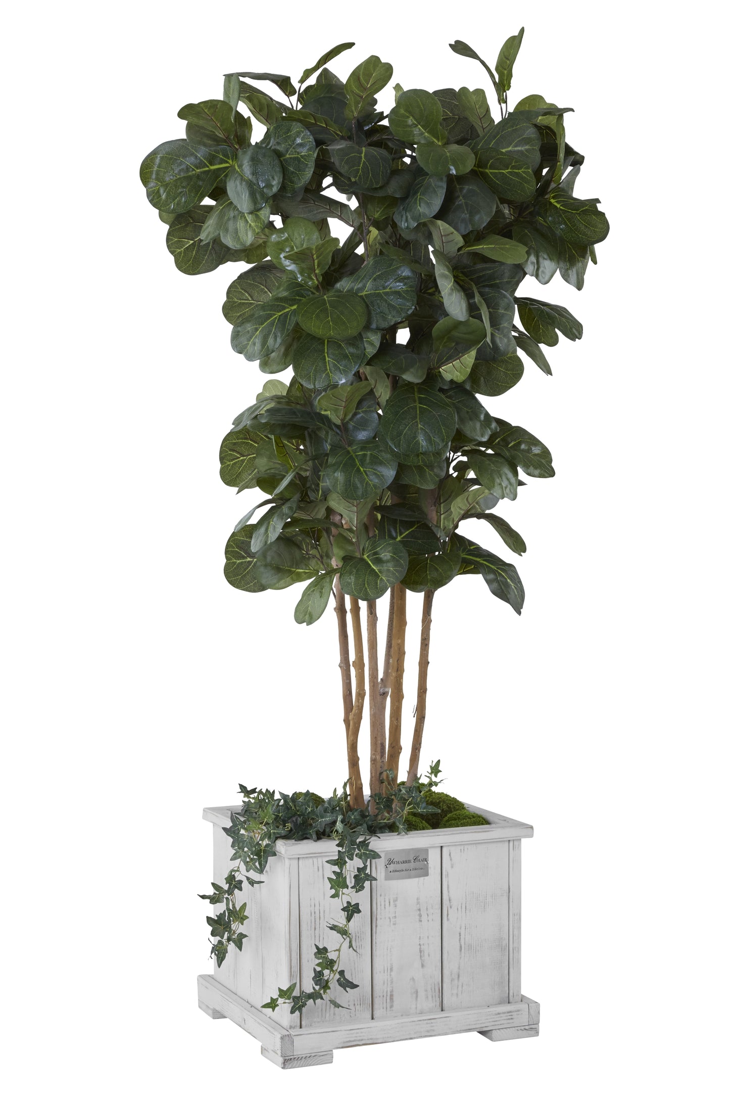 Companion Planter