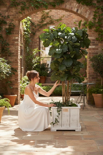 Companion Planter